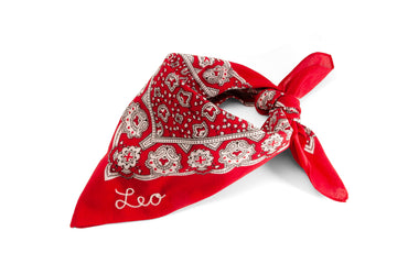 #180 - Custom embroidered bandana
